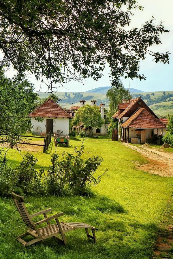 Count Kalnoky'S Transylvanian Guesthouses Miclosoara Dış mekan fotoğraf