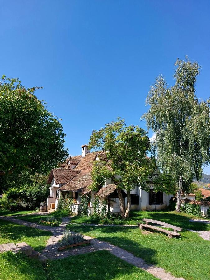 Count Kalnoky'S Transylvanian Guesthouses Miclosoara Dış mekan fotoğraf