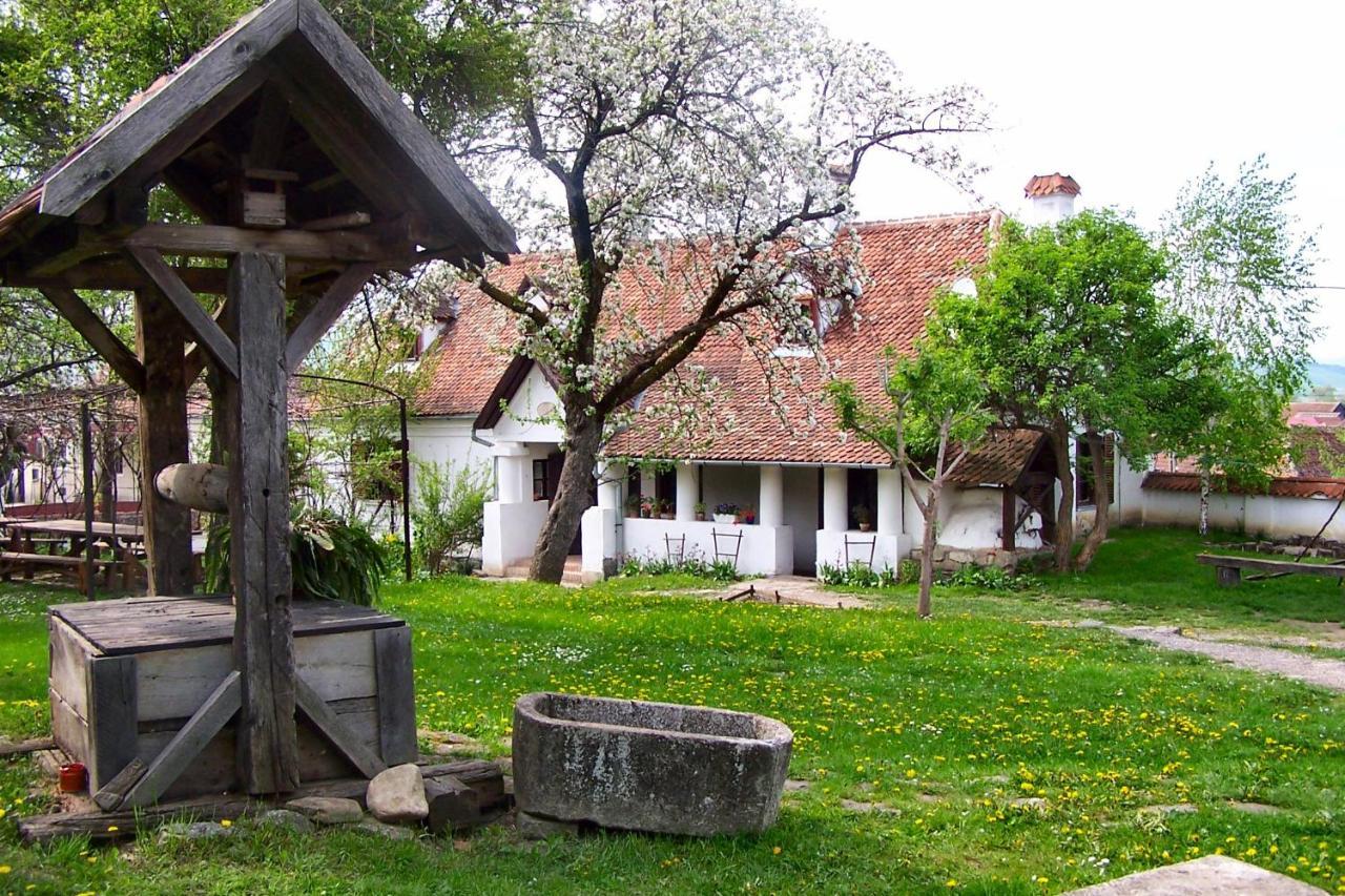 Count Kalnoky'S Transylvanian Guesthouses Miclosoara Dış mekan fotoğraf